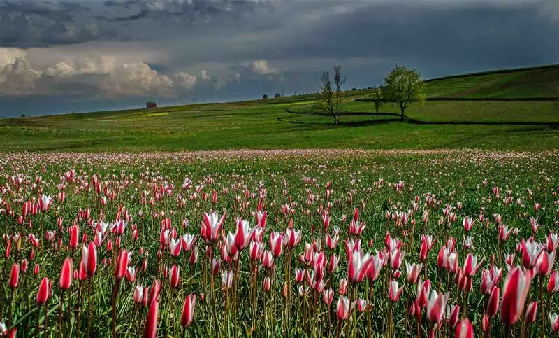Srinagar Pahalgam Gulmarg Sonmarg 6 Days Tour Package